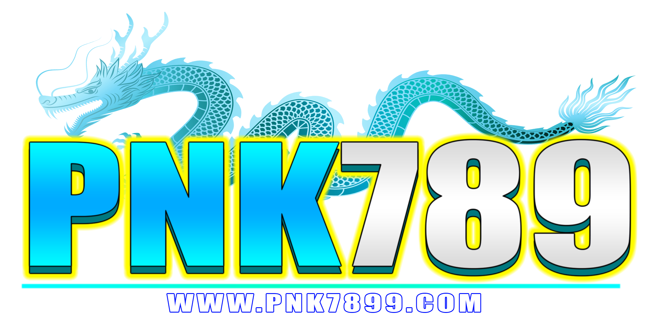 pnk7899